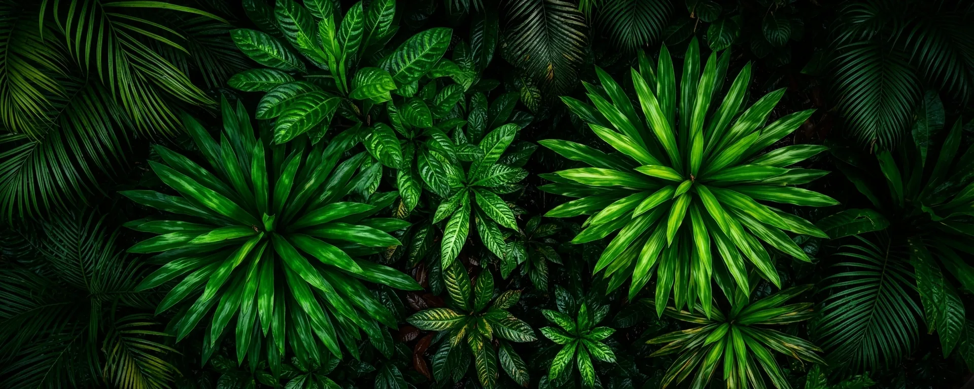 Bali botanical inspiration